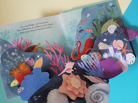 Trésors de l'Océan - Découvre le monde fabuleux des coquillages en pop-up de Janet Lawler et Lindsay Dale-Scott ♥ ♥ ♥