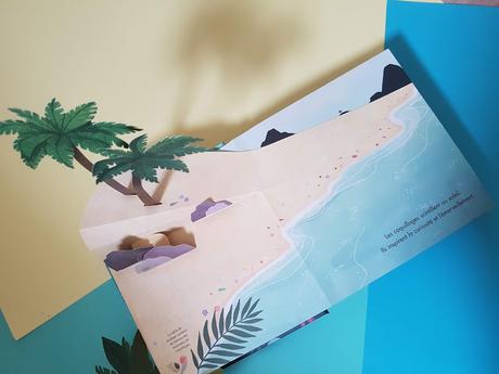 Trésors de l'Océan - Découvre le monde fabuleux des coquillages en pop-up de Janet Lawler et Lindsay Dale-Scott ♥ ♥ ♥