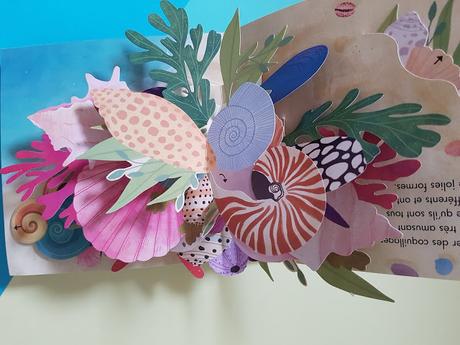Trésors de l'Océan - Découvre le monde fabuleux des coquillages en pop-up de Janet Lawler et Lindsay Dale-Scott ♥ ♥ ♥