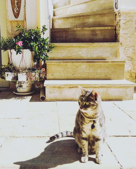 10 jours dans les Pouilles : itinéraire et conseils