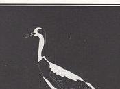 Tout toujours beau, Julia Weber