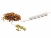 CANNABIS parents consomment sont vraiment plus cool