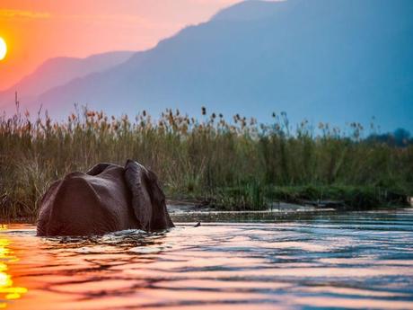Pays Etranger - Le Zanbèze - 2