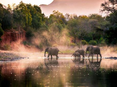 Pays Etranger - Le Zanbèze - 2