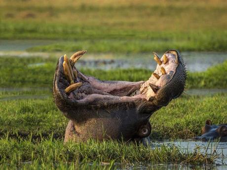 Pays Etranger - Le Zanbèze - 2