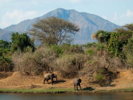 Pays Etranger - Le Zanbèze - 2