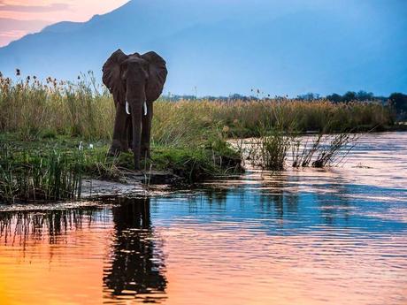 Pays Etranger - Le Zanbèze - 2