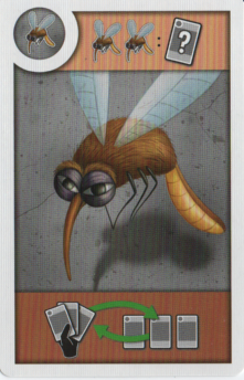 Test de Bugs on Rugs, la chasse aux insectes est ouverte