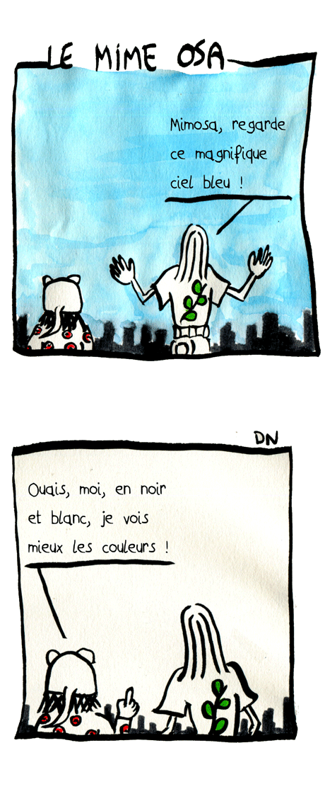 Mimosa, la chronique fleurie