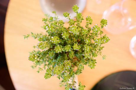 Anona_Thibaut Spiwack_By Guilhem Touzery_002_©Guilhem Touzery