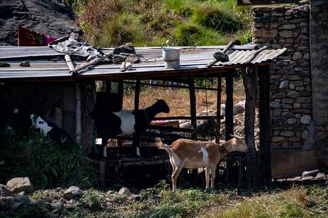 De Katmandou à Pokhara