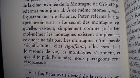 Sans jamais atteindre le sommet de Paolo COGNETTI
