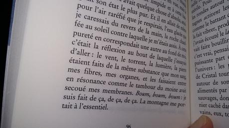 Sans jamais atteindre le sommet de Paolo COGNETTI