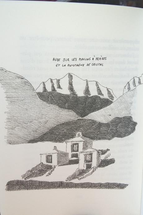 Sans jamais atteindre le sommet de Paolo COGNETTI