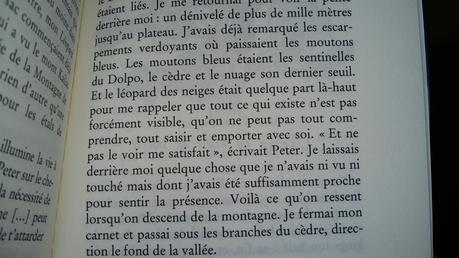Sans jamais atteindre le sommet de Paolo COGNETTI