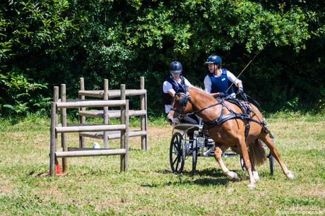 épreuve de maniabilité #attelage #cheval breton #Bretagne #Finistère #MadeInBzh épreuve de maniabilité #attelage #cheval breton #Bretagne #Finistère #MadeInBzh