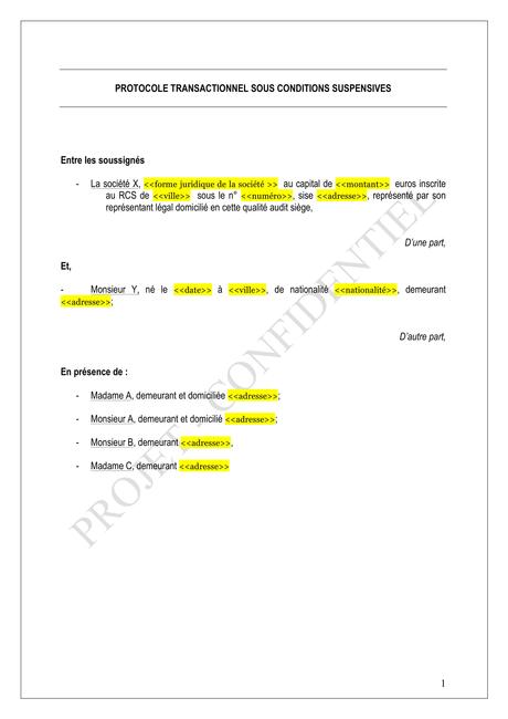 Protocole d'accord transactionnel sous conditions suspensives - Openflow