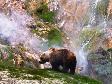 Pays Etranger - Kamchatka