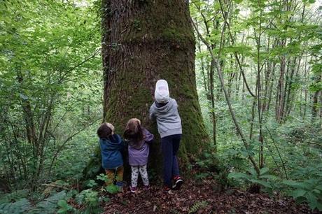 Notre mois de juin 2019 Notre mois de juin 2019