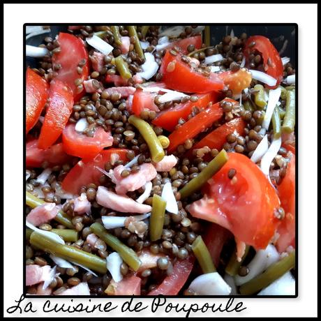 Salade de lentilles, oignon, tomates, lardons Salade de lentilles, oignon, tomates, lardons