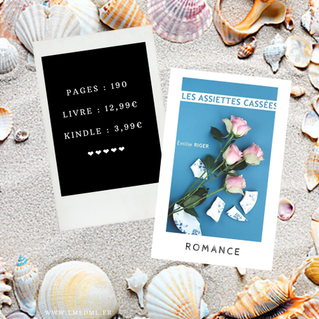 Les assiettes cassées » Emilie Riger