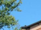 Heute Abend Tannhäuser 3Sat 20U15 soir. nouveau Bayreuth