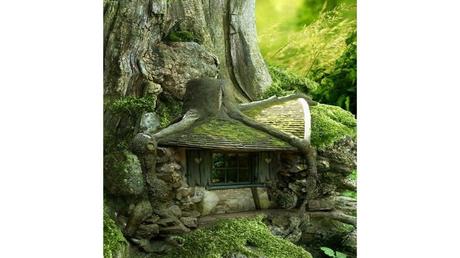 Divers - Des arbres superbes - 3