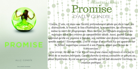 Premières lignes #73 : Promise