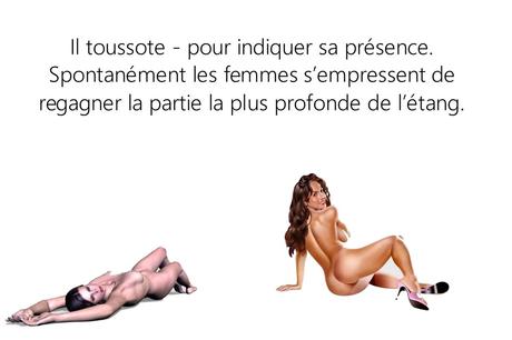 Divers - La sagesse - 