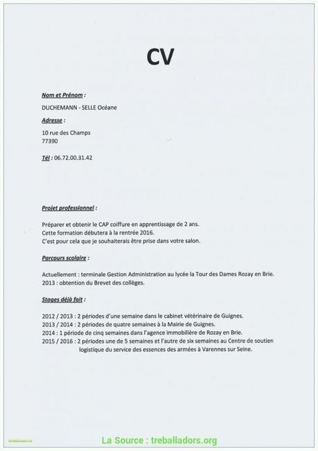 lettre de motivation assistant achat  Paperblog