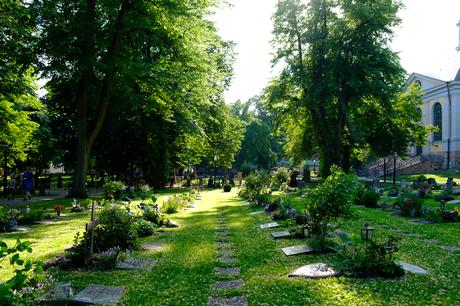 Autour de Katarina kyrkogård, cimetière paysager au centre de Stockholm
