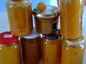 Confiture prune jaune thermomix