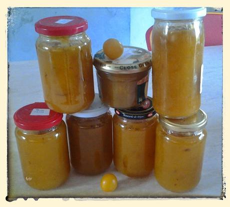 Confiture de prune jaune au thermomix