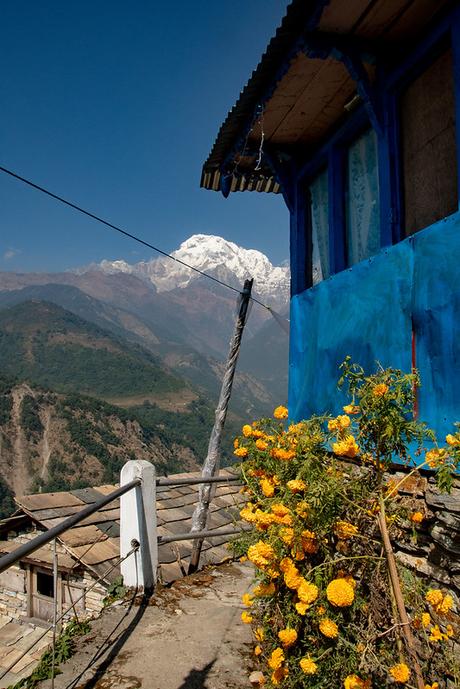 De Pothana à Landruk – le 8 Novembre 2018 Super View Guest House