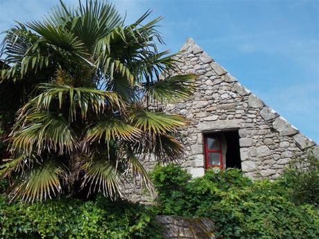 la tête dans le bocage