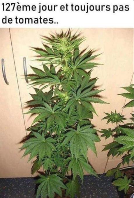 Les images de la semaine