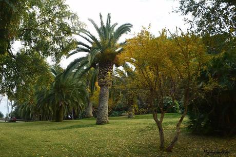 Le Montjuïc à Barcelone entre fontaine magique, téléphérique et Miró