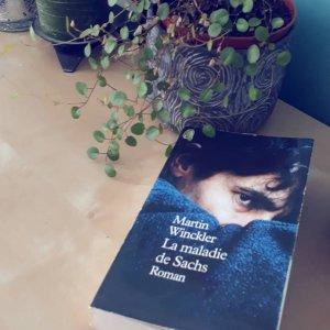 La maladie de Sachs, Martin Winckler La maladie de Sachs, Martin Winckler