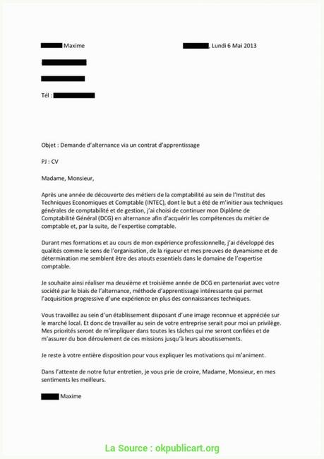 Lettre De Motivation Pour Emploi Dans Une Ong