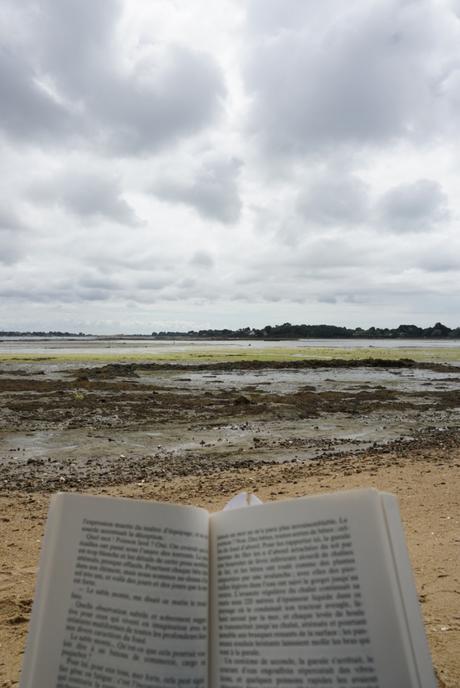 Escapade estivale : Golfe du Morbihan et Île aux Moines