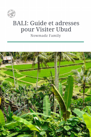Le guide ultime pour visiter Ubud: que faire, où manger, où dormir ?