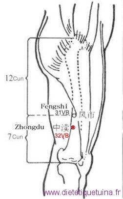 Le point Zhong Du du méridien de la vésicule biliaire (32VB)