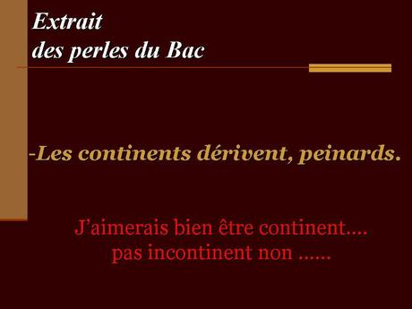 Divers - Les perles du bac - 2