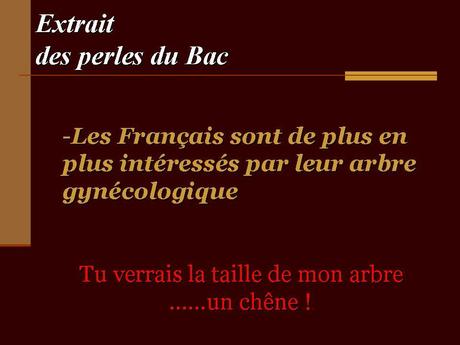 Divers - Les perles du bac - 2