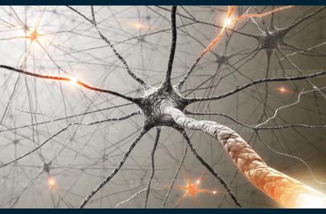 Sclérose en plaques : définition, cause, traitement Sclérose en plaques : définition, cause, traitement