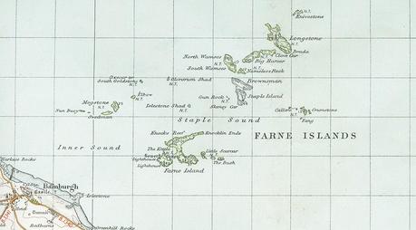 FARNES ISLANDS :  JOURNEE D'OBSERVATION ORNITHOLOGIQUE