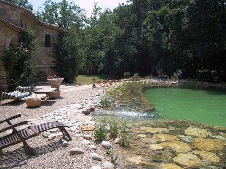 Piscine naturelle : les avantages pour respecter l’environnement Piscine naturelle : les avantages pour respecter l’environnement