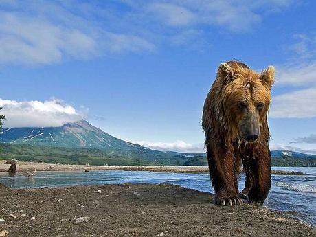 Pys Etranger - Kamchatka - 2