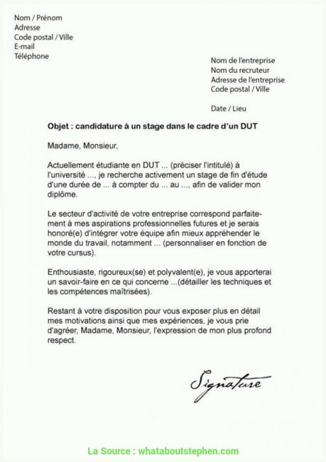 Excellent Lettre De Motivation Cadre De Gestion Lettre De Motivation ...