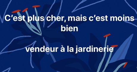 La phrase de la semaine #37 La phrase de la semaine #37